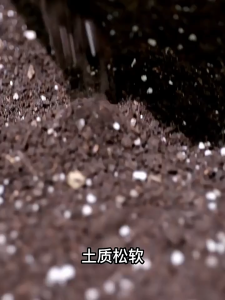 5kg Premium Loam Soil Universal Organic Nutrient Soils Potting Mix Lupa Pang Halaman Garden Plants Soils General Soil Ingredients Potting Mix For Gardening Plants