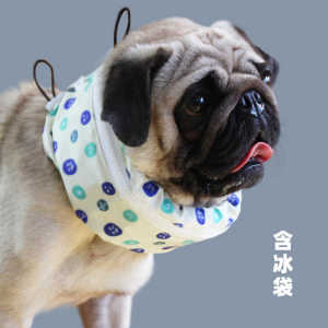 Summer Cooling Ice Scarf for Dogs Outdoor Pet Accessories Baseball Cap Style Heatstroke Prevention Koji French Bulldog Bago