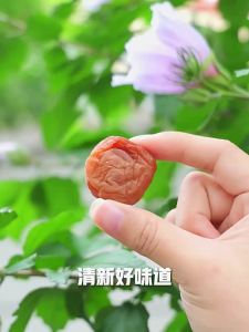 HUAWEIHENG | Sour and Sweet Traditional Chinese Plum Candies 108g x 3 Bags