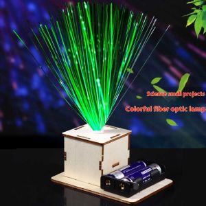 Technology Small Maker DIY Colorful Fiber Optic Lamp Childrens Handmade Creative Science Puzzle Experiment STEM Education Model