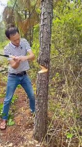 Multipurpose Mini Hand Saw SK5 Japan Steel Blade Cutting Tools Portable Hand Saw Gardening DIY