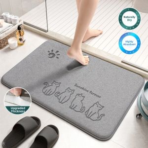 Absorbent Non-slip Dirt-resistant Doormat