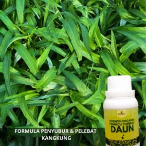 Pupuk Organik Cair Penyubur & Pelebat Tanaman Kangkung