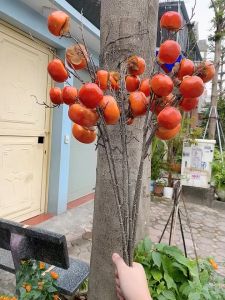 Cành Hồng Giả Trang Trí Cắm Bình Lọ Chơi Tết Trang Trí Nhà Cửa