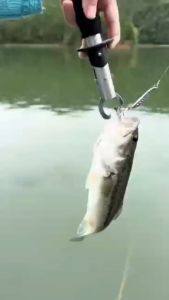 🇲🇾READY STOCK❗❗ Memancing Tang Bibir Ikan Keluli Tahan Karat Pemotong Bibir Ikan Alat Alat Memancing Tangkapan Ikan Alat Memancing