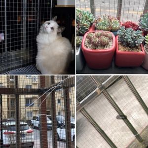 Hot Dipped Galvanized Welded Wire Mesh Antirust Protection Household Farming Welded Fence Galvanized Balcony Barrier