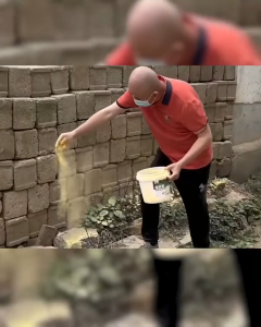 Bột Đuổi Chuột Thảo Mộc RYAN 500G Chính Hãng - Chiết Xuất Thiên Nhiên Lành Tính - Xua Đuổi Chuột Rắn Sân Nhà Ruộng Lúa