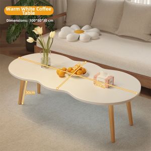 Modern Minimalist Style Coffee Table