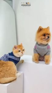 Mika Overall - Baju Kucing dan Baju Anjing POMAPOO Premium Berkualitas