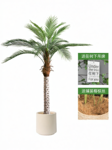 Luxury Indoor Decorative Artificial Cycas Large Floor Plant
