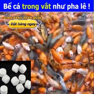 Viên Nén Màu Trắng Mới. Vi sinh của Nhật lọ 100 viên ( vi sinh bể cá làm trong nước giảm độc tố cân bằng pH)