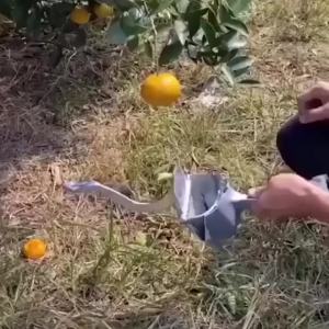 Máy Ép Trái Cây Bằng Tay Hợp Kim Nhôm Ép Bằng Lực Tay Dùng Cho Lựu Cam Chanh Mía - Dụng Cụ Nhà Bếp Quầy Bar Dụng Cụ Ép Trái Cây