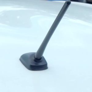 16cm Universal Carbon Fiber Look Car Roof Top Mount Shark Fin Aerial Antenna Toppers Auto Radio AM FM Antenna Signal Amplifier