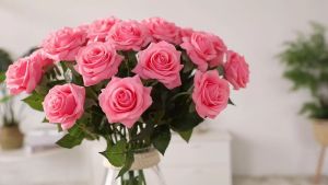 Hoa Hồng Hoa Hồng Giả Phủ Phấn Sáp Mềm Mịn Giống Thật Đến 99% Cao 43Cm Dùng Trang Trí Nhà Cửa Đám Cưới Chụp Hình