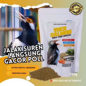 makanan burung voer salmon jalak suren cocak dll bikin cepat gacor dengan smart brain omega 3 kemasaan 250g