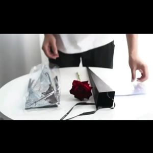 [FlowerWorld]Hiasan Satu Tangkai Bunga Mawar Cantik / Hiasan Hadiah Bunga Kristal Mawar Indah / Setangkai Bunga Cantik Kekinian Hadiah Ulang Tahun / Single Rose Box / Box Wrapping / Box Mika Plastik Bunga Satuan / Kertas Bunga / Barang Florist/Beautylife