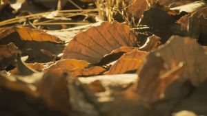 正版 活着 原著无删减精装版 余华○著『人是为了活着本身而活着 而不是为了活着之外的任何事物而活着』现代心理励志书籍