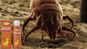 Flea Tick Shampoo for Dogs Cats Moisturizing Eliminate Fleas Ticks Relieve Itching Sooth Skin Long Lasting Pet Grooming Shampoo
