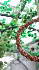 D`SAVIOR BODY SCRUB ARABICAN COFFE