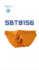 Mens Brief : Nylon Ice Silk No Line 3D Pouch Brief Underwear (SBT8156)