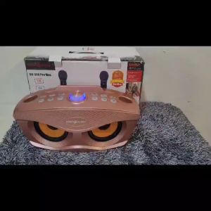 Wireless Bluetooth Karaoke Speaker With Mic  SD-306 Pro Max