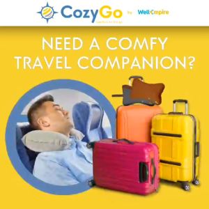Cozy Go Air Pillow