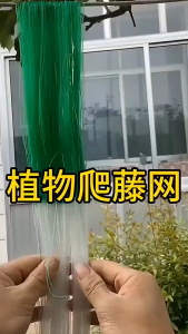 【Fast Delivery】9PCS Garden Vine Plant Climbing Net 3IN1 Set High-Quality Cucumber Vegetables Trellis Net Plant Support Netting White Nylon Support Mesh 2Mx100M