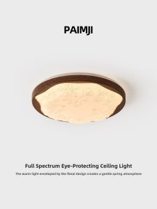PAIMIJI | Modern Retro Smart LED Ceiling Light