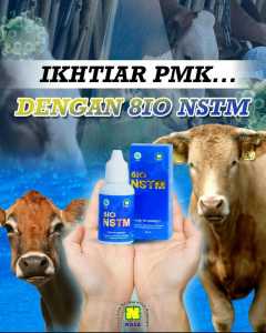 JAMU NSTM UNTUK TERNAK SAPI TERKENA (PMK) // AMPUH ATASI SAKIT MULUT DAN KUKU PADA TERNAK