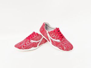 Dragon Punch New Competition Wushu Shoes Y Model Colorful Performance Routine Training Kung Fu Shoes for Men And Women