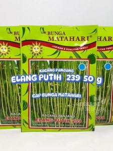 Benih Kacang Panjang Elang Putih 50 g: Varian Unggulan untuk Dataran Rendah & Menengah