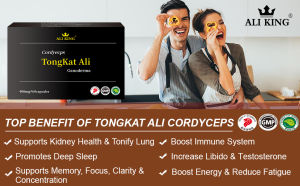 TONGKAT ALI Cordyceps Ganoderma for Men & Women - Immune System Tonify Kidney & Lung Good Sleep Fatigue Relief & Stamina | 60 Veg Caps