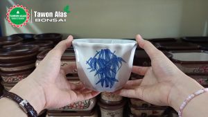 Pot Keramik Bonsai dan Tanaman Hias Bundar Aesthetic