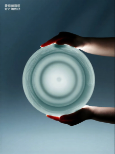 JINGDEZHEN | New Heat-Resistant Ceramic Plate Set