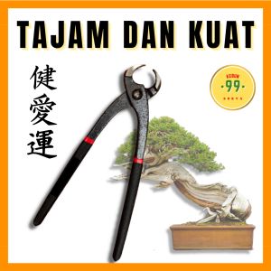 Catok Bonsai Cembung Krekut Lokal Tajam Kuat modifikasi