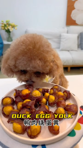 DIDIMON PET DOG PUPPY MOLAR REWARD TRAINING BEAUTY HAIR SNACKS CHICKEN DUCK EGG YOLK FLAVOR(100G)迪迪妈宠物狗狗磨牙训练奖励美毛成犬幼犬零食鸭肉鸡肉蛋黄口味