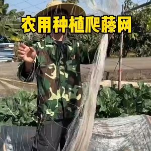 ตาข่ายปลูกพืชผัก โครงไม้เลื้อย ค้างปลูกผัก อวนปลูกผัก ตาข่ายอวน ค้างแตง ไม้เลื้อย ตาข่ายเอ็น สูง 2 เมตร x ยาว 100 เมตร