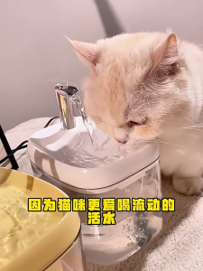 E-WOITD 1.5L Wireless Cat & Dog Water Fountain with Stainless Steel Filter and Deep Filtration Cat Water Fountain Dog Water Dispenser Water circulation silent pump