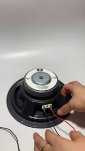 Loa bass 20 BM từ 100 côn 29 gân cao su - giá 1 cái - loa bass 2 tấc