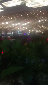 G50 Clear Ball String Light Outdoor Globe LED LED Retro Festoon Garland String For Wedding Party Patio Garden Decorations Wall