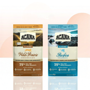 ACANA | Chicken Fresh Meat Grain Free Cat Food for All Stages