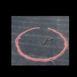 ผงขับงูสุดแรง! ป้องกันงูได้นานถึง 3 เดือน ป้องกันงูอย่างมีประสิทธิภาพ ด้วยผงขับงูสูตรแรง