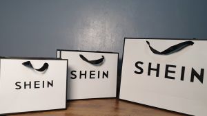 SHEIN Paper Bag - Gift Bag - Gift Wrapper