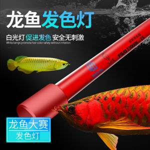 Mayin authorized SG seller Mayin T5 13000k Aquarium Tanning Light for Red Gold Arowana Fishes 3ft 4ft 5ft Waterproof Deeper tones