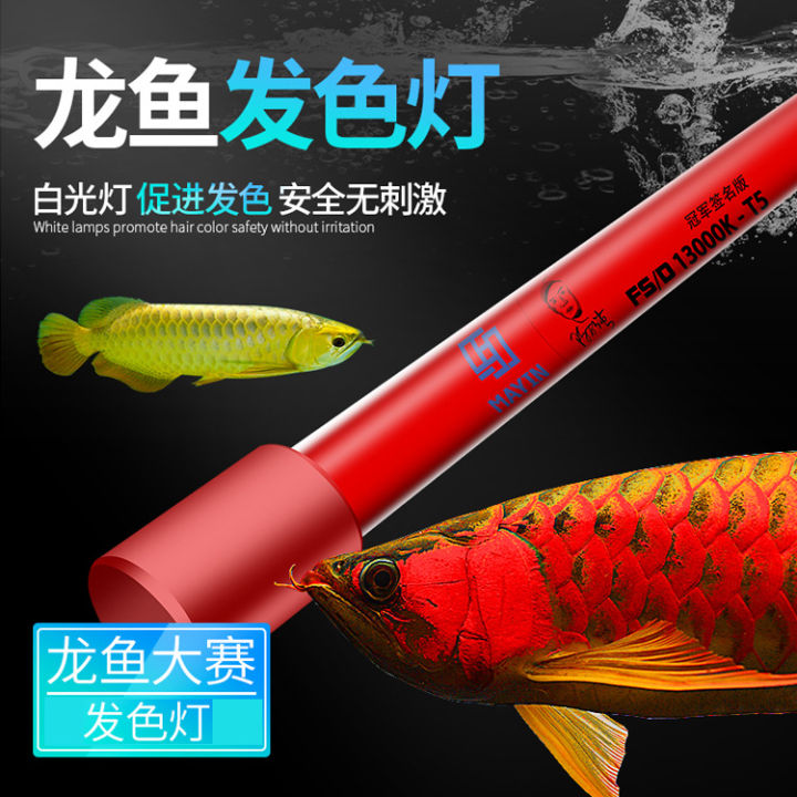🔥Mayin authorized SG seller🔥Mayin T5 13,000k Aquarium Tanning