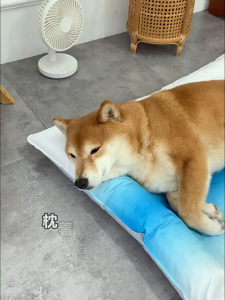 Dog Cat Cooling Mat Ice Pad Ice Cooling Pet Bed Dog Sleeping Mat for Dogs Cat