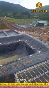 Bạt lót ao hồ 8m x 2m dày 0.5mm bảo hành 5 năm