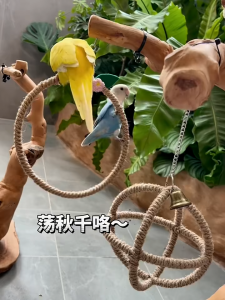 16cm Parrot & Parakeet Interactive Toy - Hanging Swing with Bell Climbing Stand | Bird Cage Decor