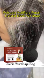 BUY 1 TAKE 1 HerbalGro Polygonum Black Hair Shampoo Bar 100g Natural Herbal Growth Formula Restores Hair Color Nourishes Follicles for Thinning Hair Daily Use