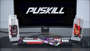DESKTOP RAM | PUSKILL | DDR3 or DDR4 | 4GB/8GB/16GB/32GB